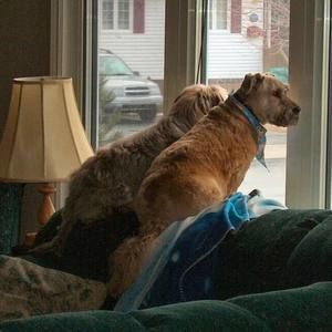 Meet your Posher, Debby